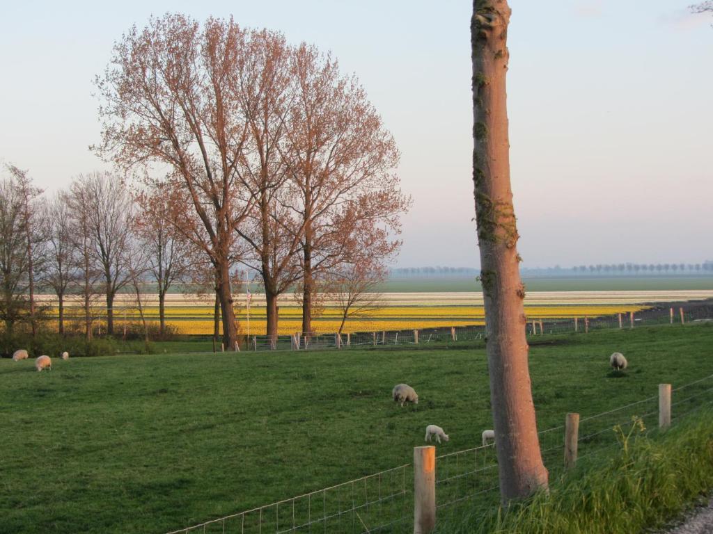 Zuidoostbeemster Bed En Breakfast In Het Fruit מראה חיצוני תמונה